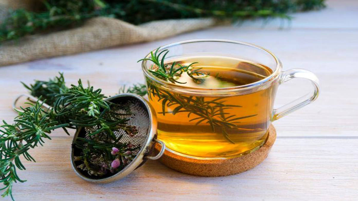 خواص چای رزماری/ چای رمزماری سلامتی شما را تضمین می کند