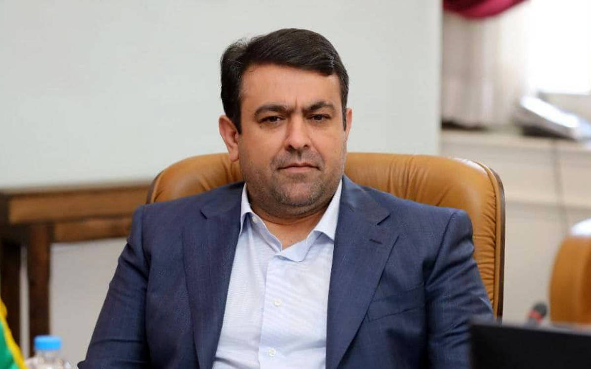 نجارزاده مدیرعامل بانک ملی شد + سوابق
