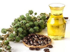 از فواید شگفت انگیز روغن کرچک چه میدانید؟ از فواید شگفت انگیز روغن کرچک چه میدانید؟